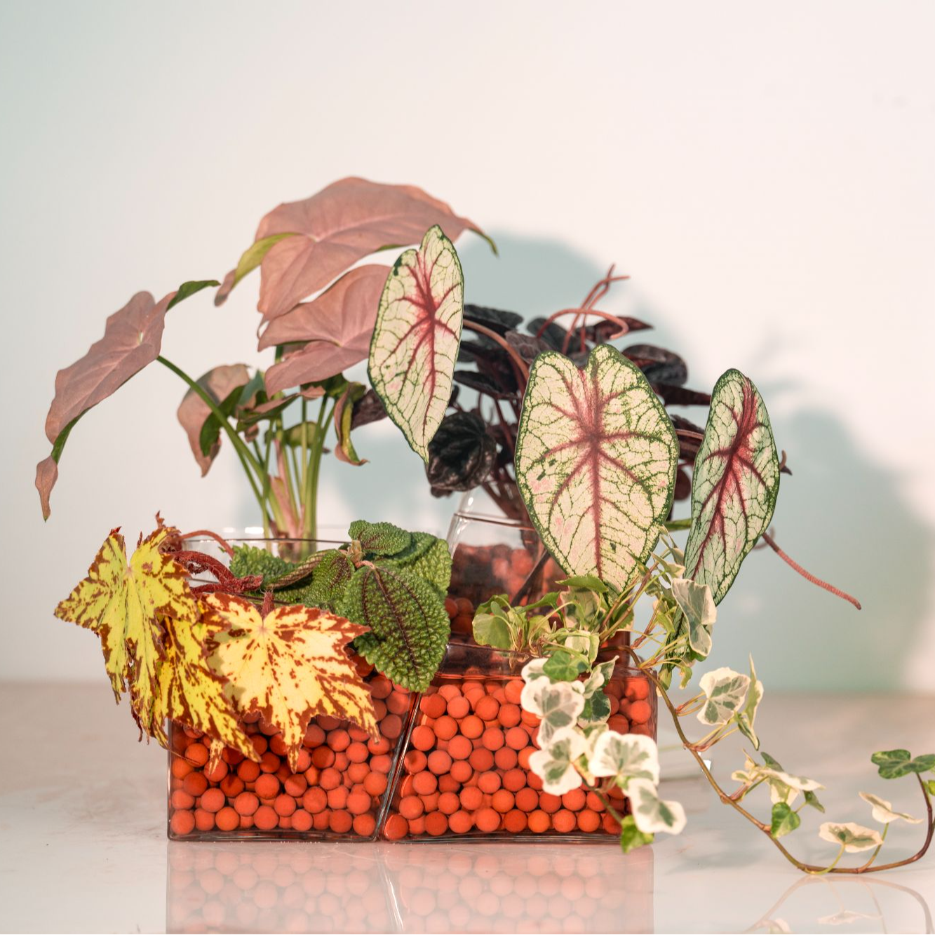 致丰园艺 三分匠水培花器组合款 自由组合水培器皿 微景观打造