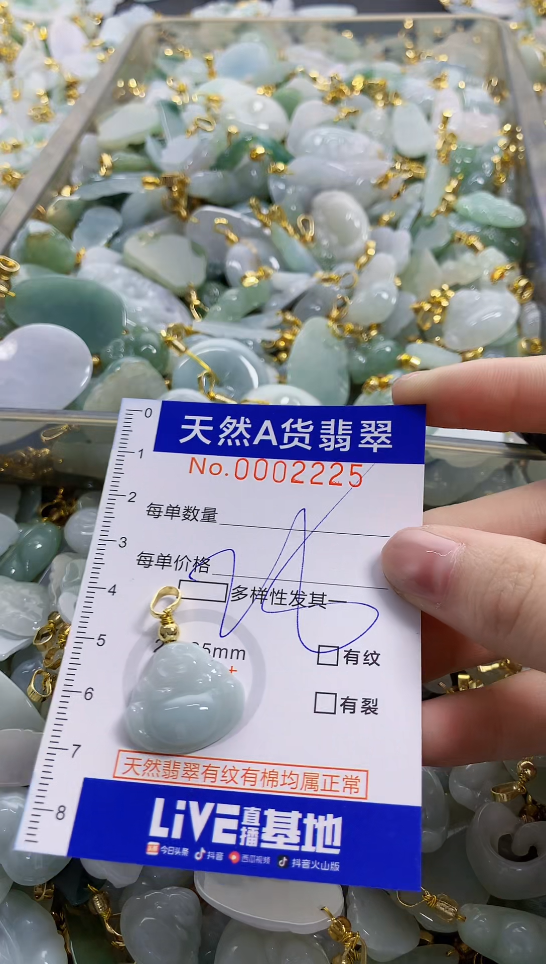 颈饰未镶嵌翡翠纯天然a货翡翠