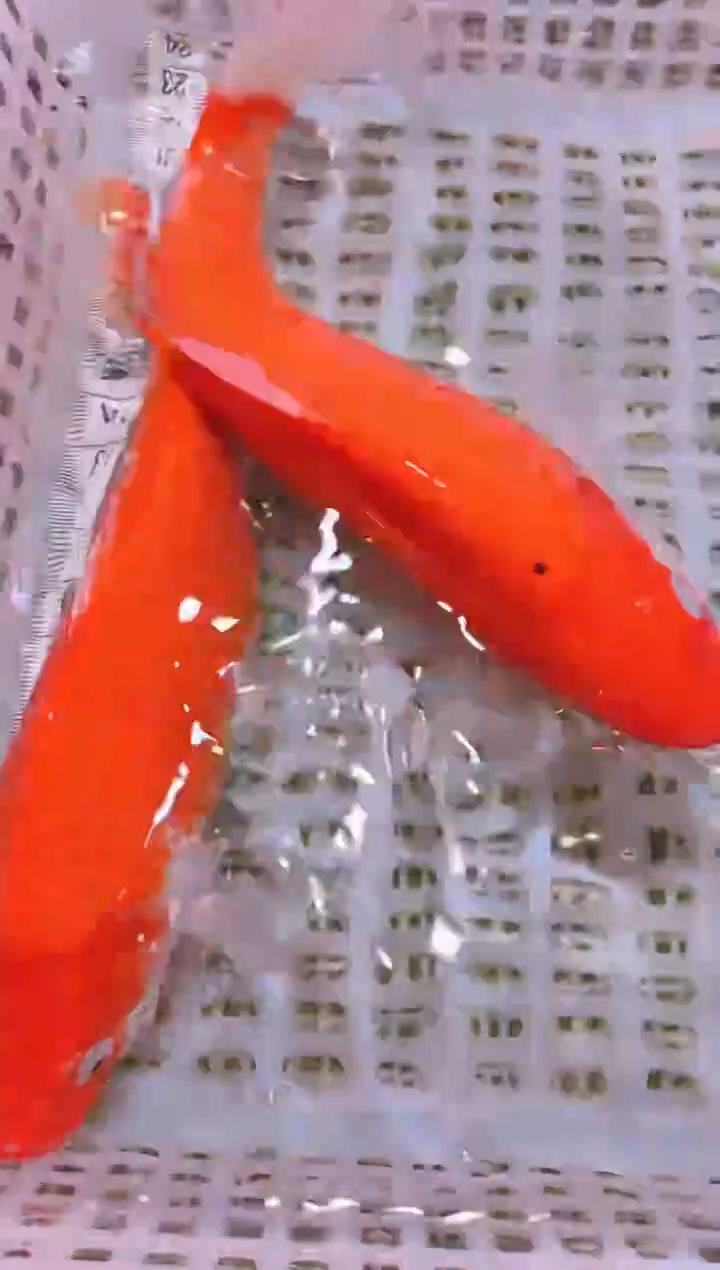 锦鲤冷水观赏鱼全场包邮75