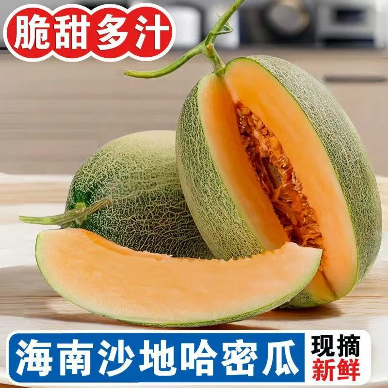 正宗海南哈密瓜新鲜水果 甜蜜多汁 坏果包赔