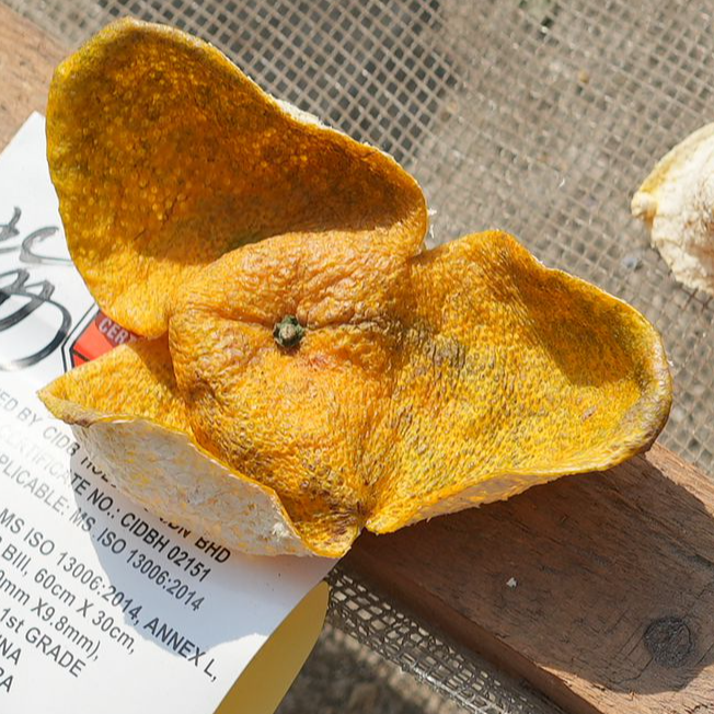 2024年梅江原枝大红皮稀缺臻品80克装陈皮