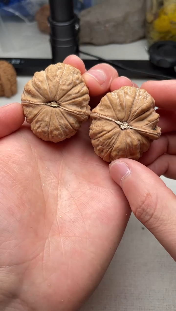 把件文玩核桃南瓜
