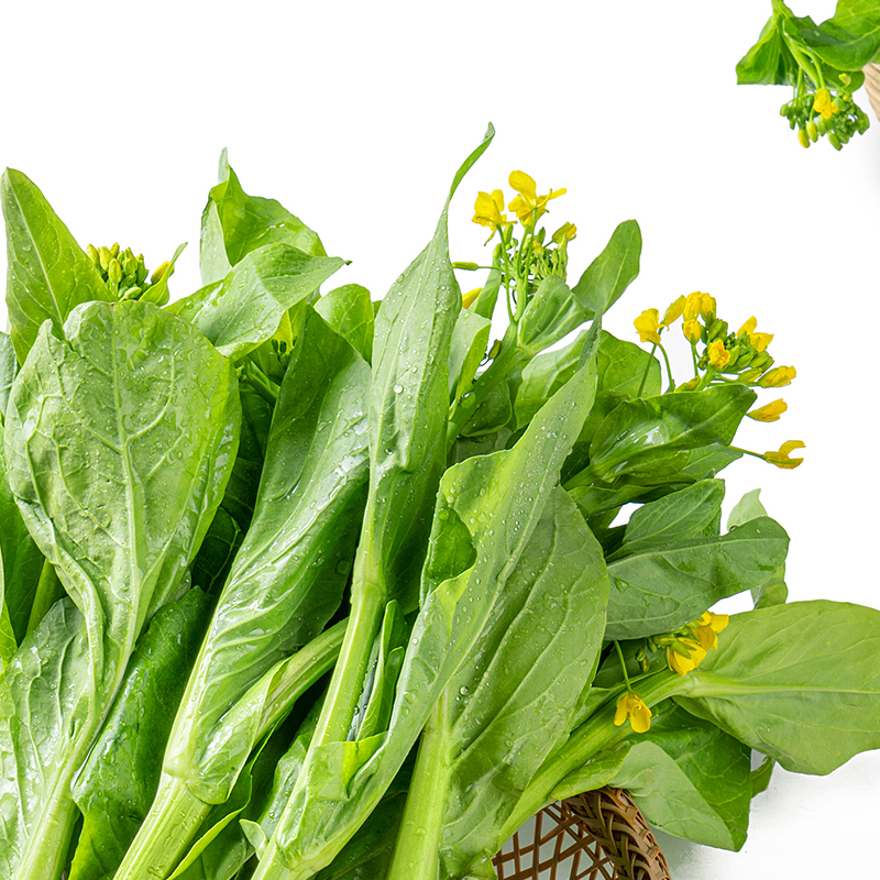 【散】青菜苔 约400g±20g/份