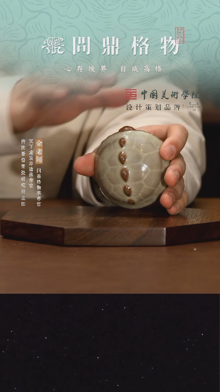 【闪购商品】乌龟茶宠1111111111111111