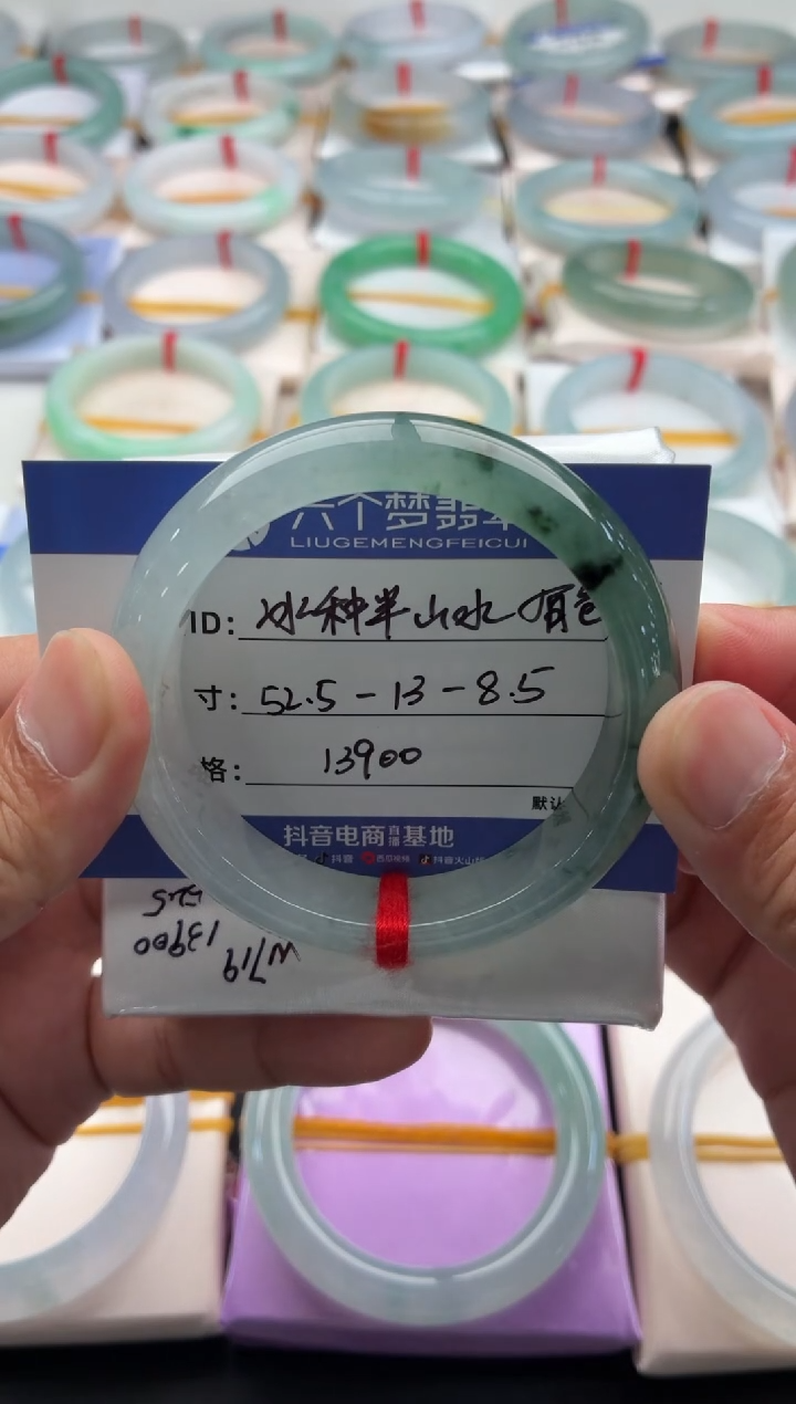 未镶嵌手镯翡翠冰种半山水 有包容 48小时鉴赏期