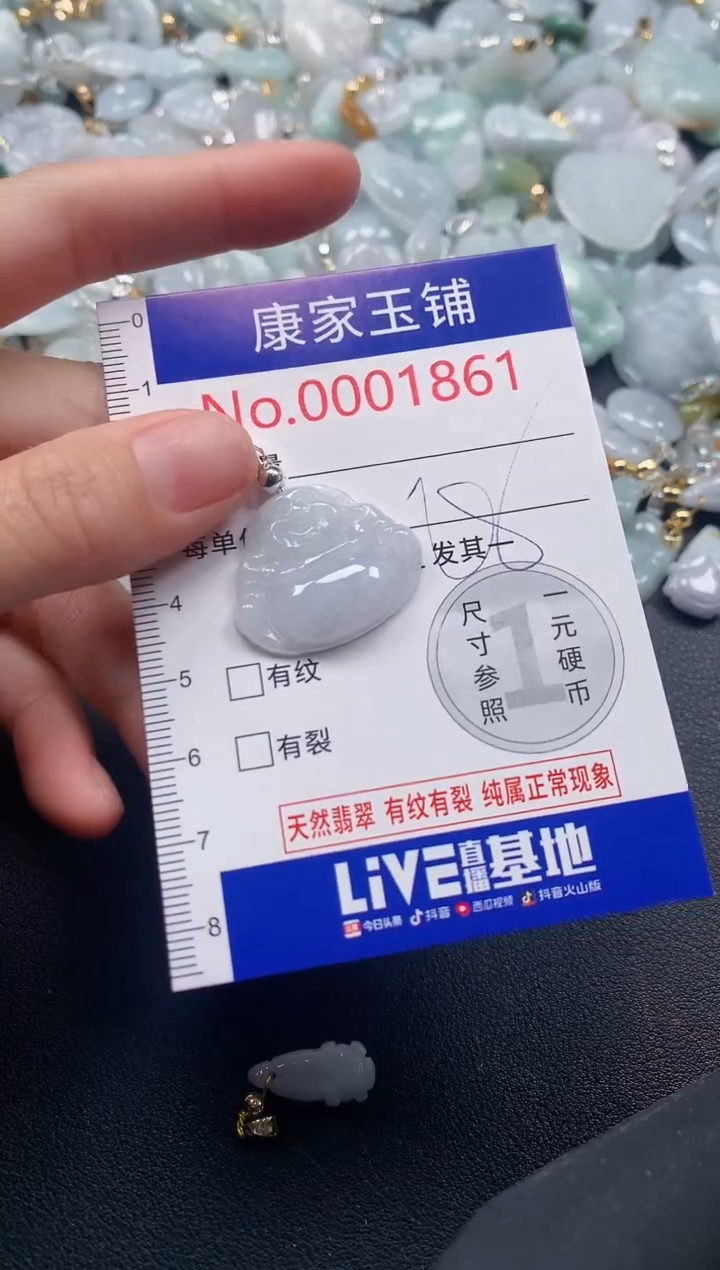 吊坠(不含链)未镶嵌翡翠1861