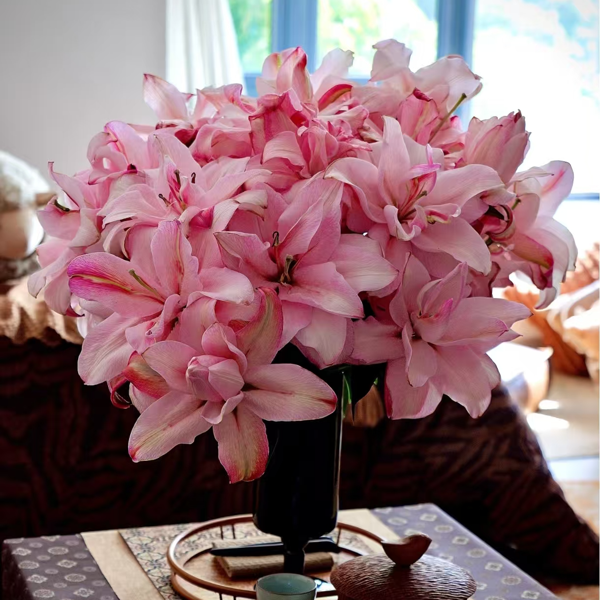 【布朗尼重瓣百合】任意拍两单升级顺丰三单送草云南基地直发