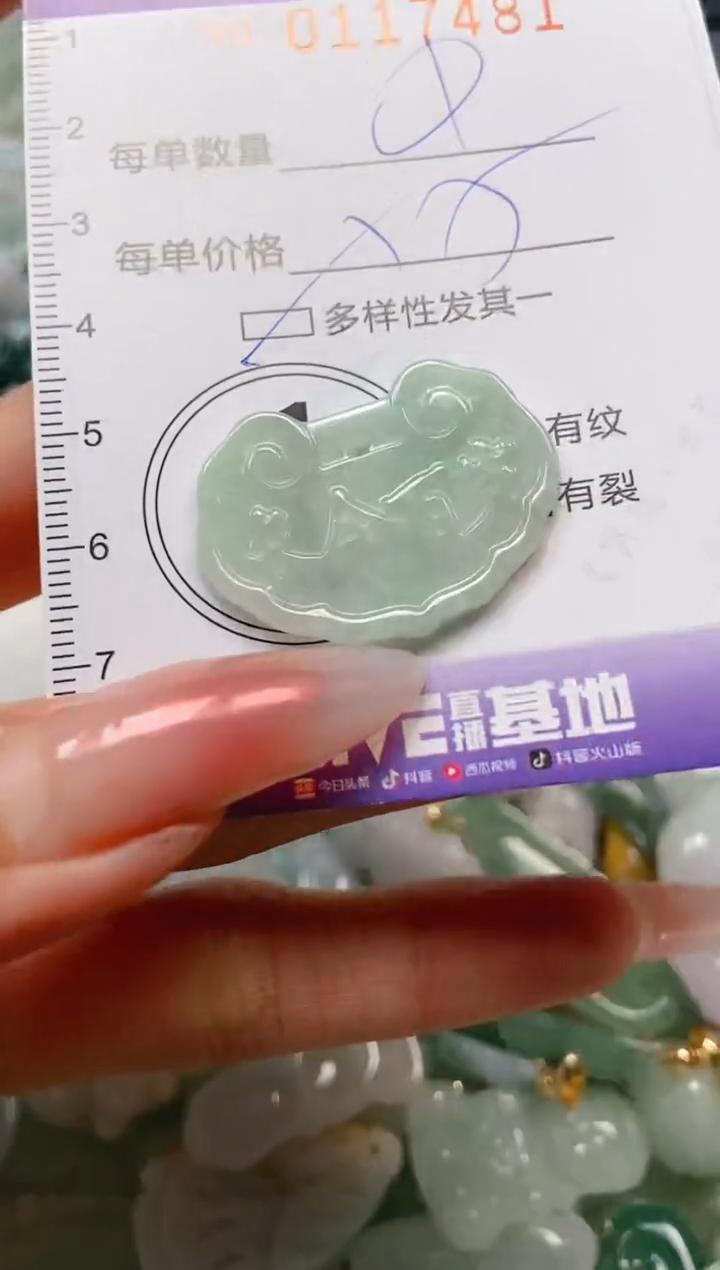 【闪购商品】翡翠颈饰未镶嵌闪购0117481多样性发其一