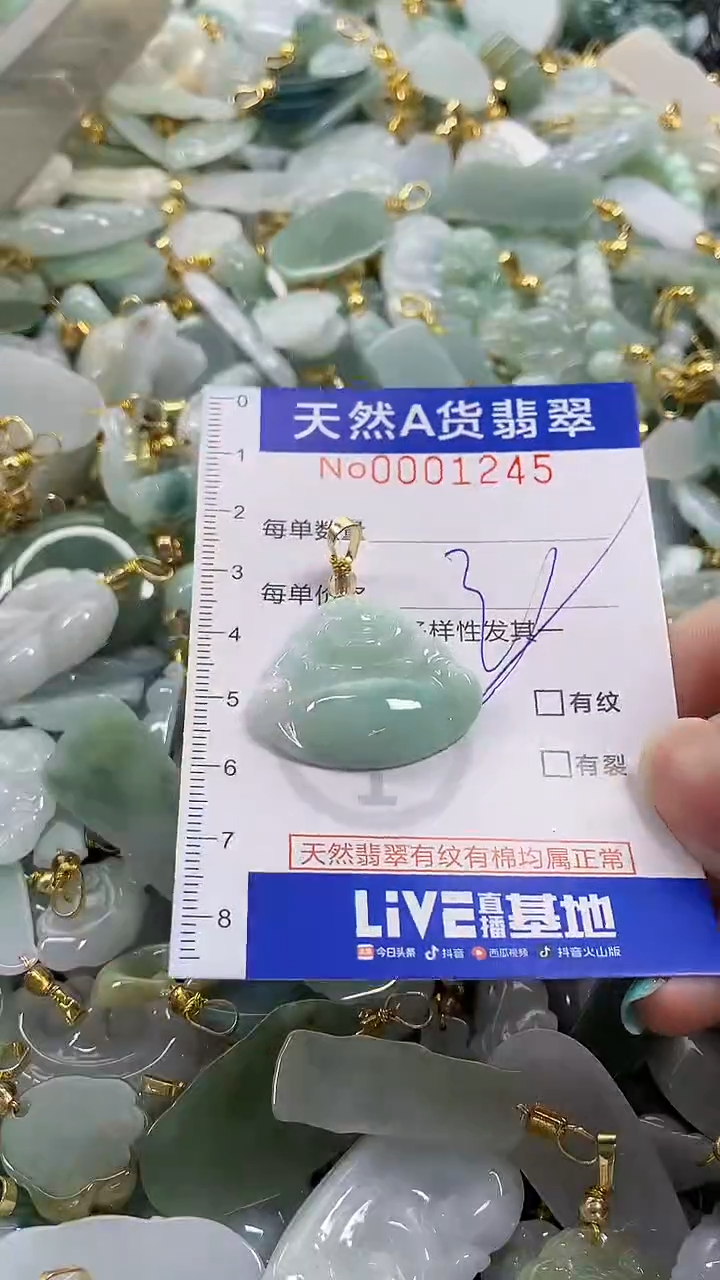 颈饰未镶嵌翡翠纯天然a货翡翠