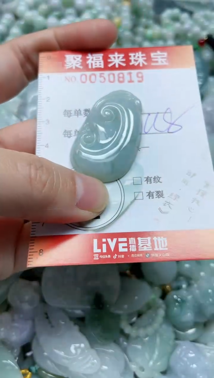 【闪购商品】翡翠颈饰未镶嵌闪购0050819