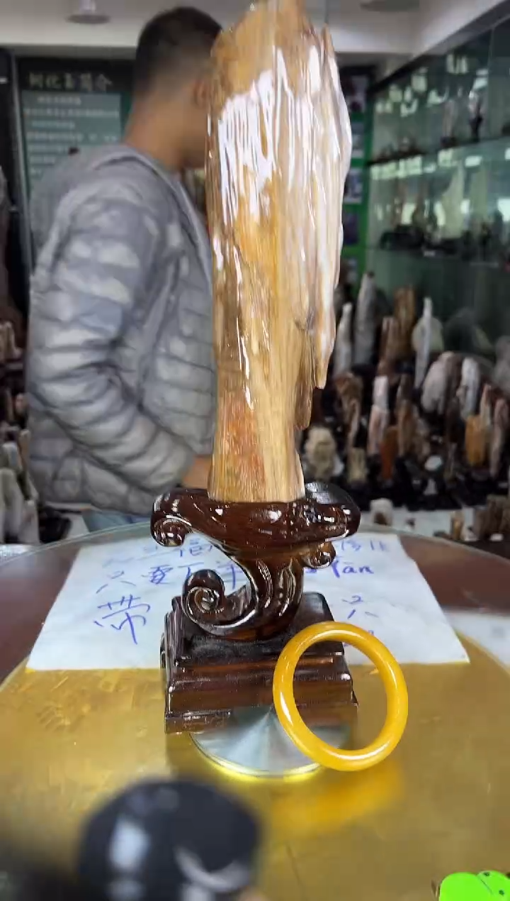 未镶嵌珠宝奇石硅化玉缅甸天然树化玉精品居家摆件