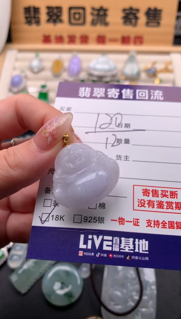 翡翠18K金镶嵌颈饰10133962