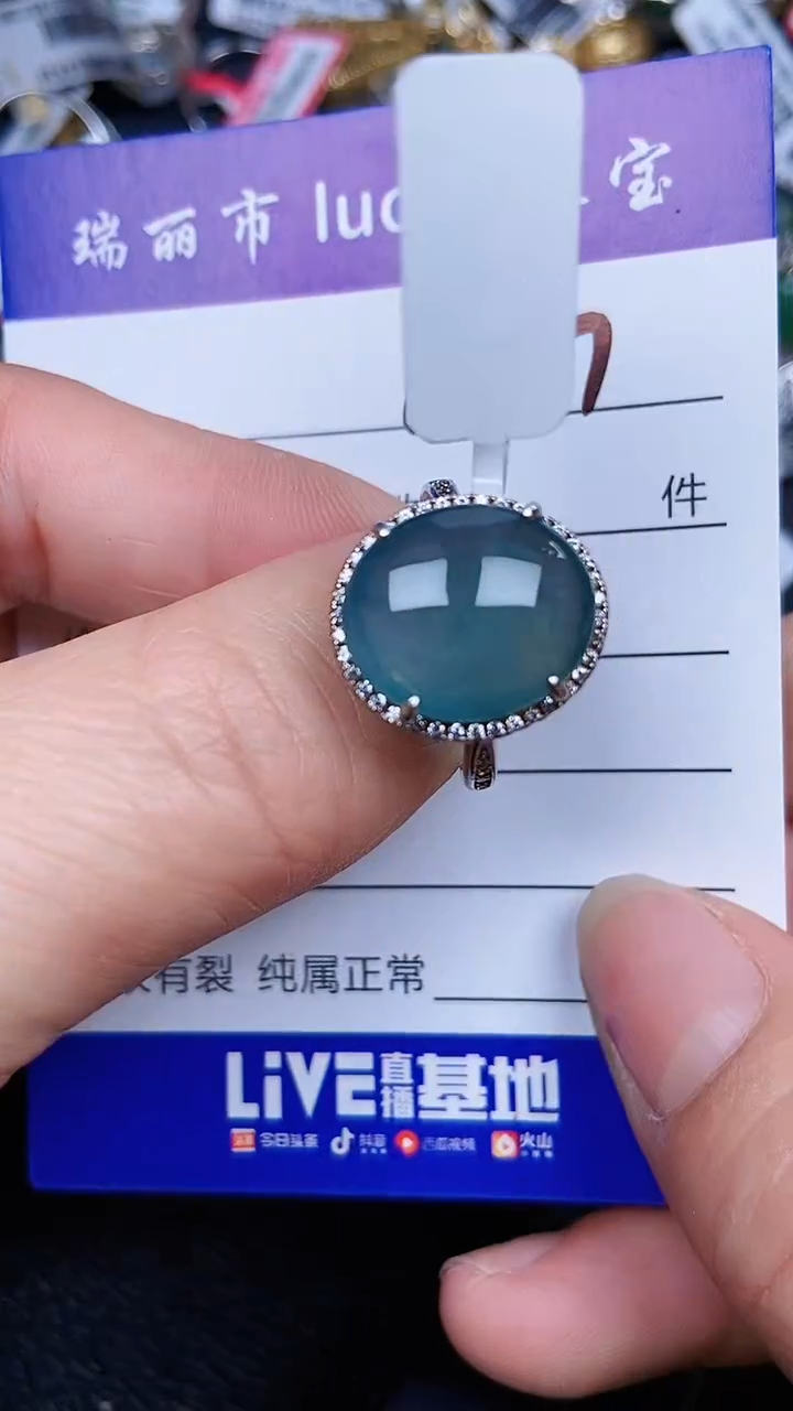 颈饰银S925镶嵌翡翠0107