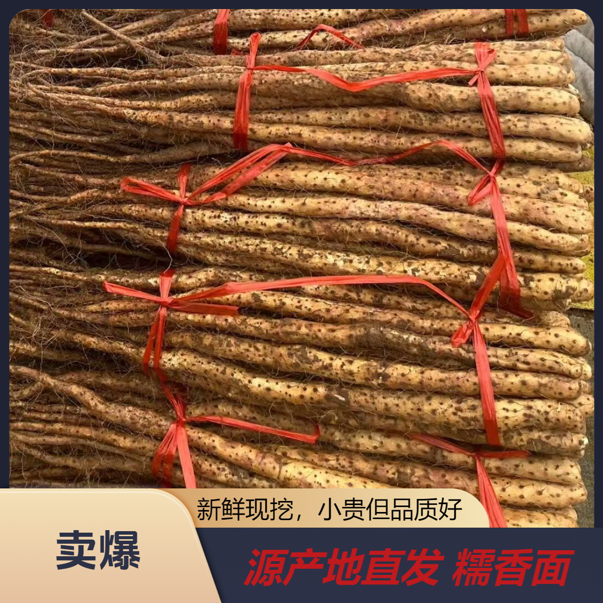 新鲜采挖，头茬铁棍山药，口感软糯香面，宝宝辅食营养代餐，送礼首选