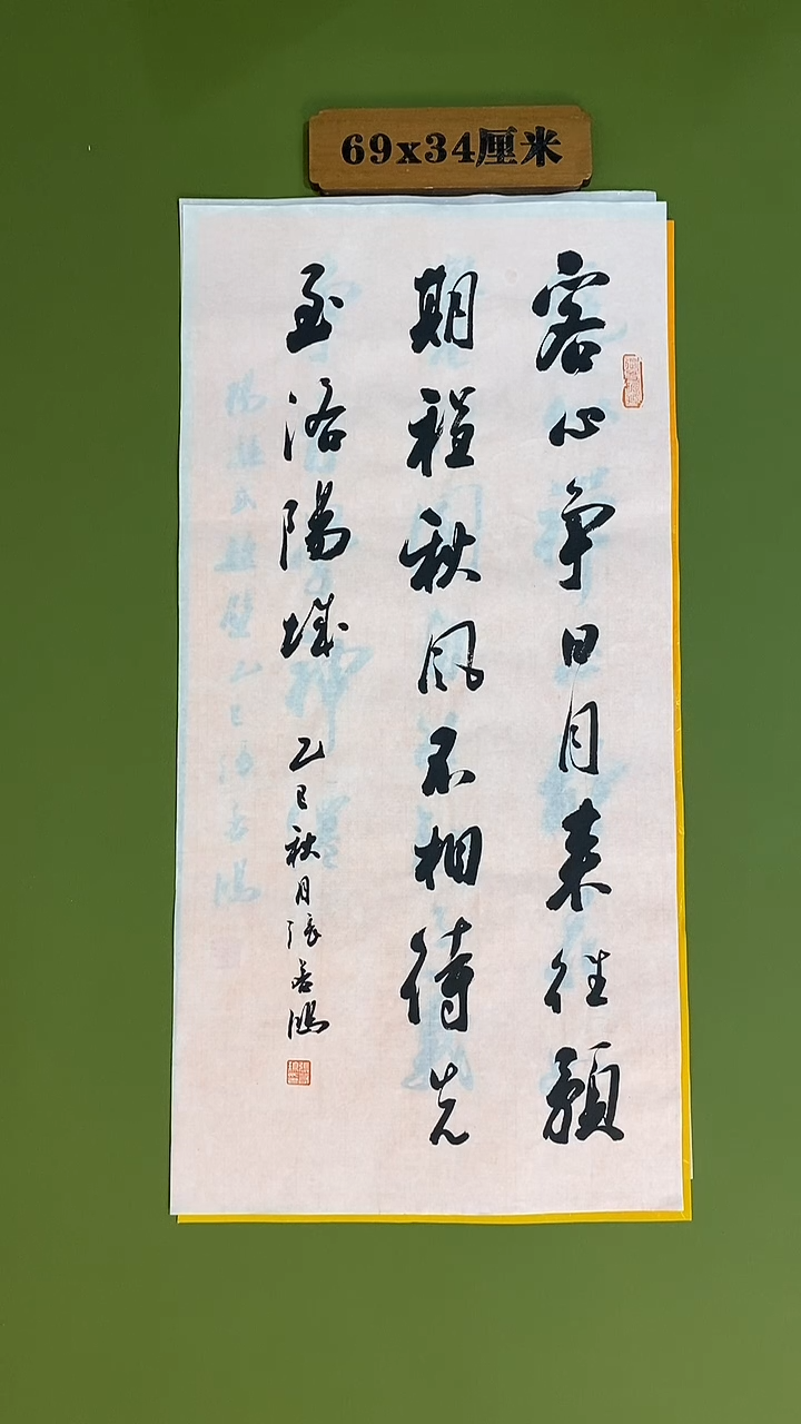 书法书法 张若鸿 尺寸69cm*34cm    