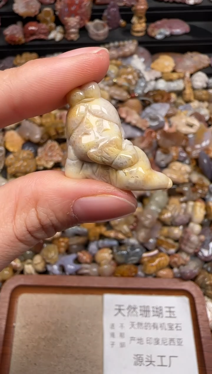 硅化珊瑚（珊瑚玉）未镶嵌颈饰239