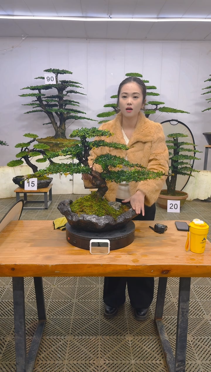 无花朵一物一拍一物一拍