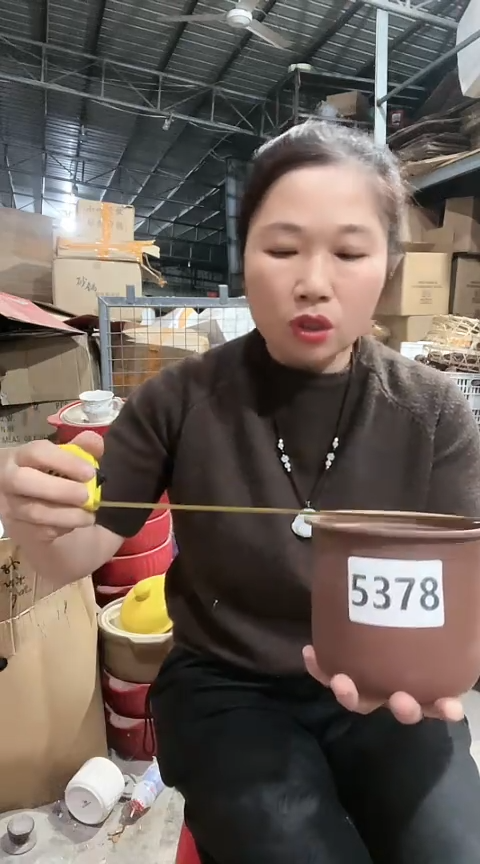 陶5378瑕疵内胆不明火两个