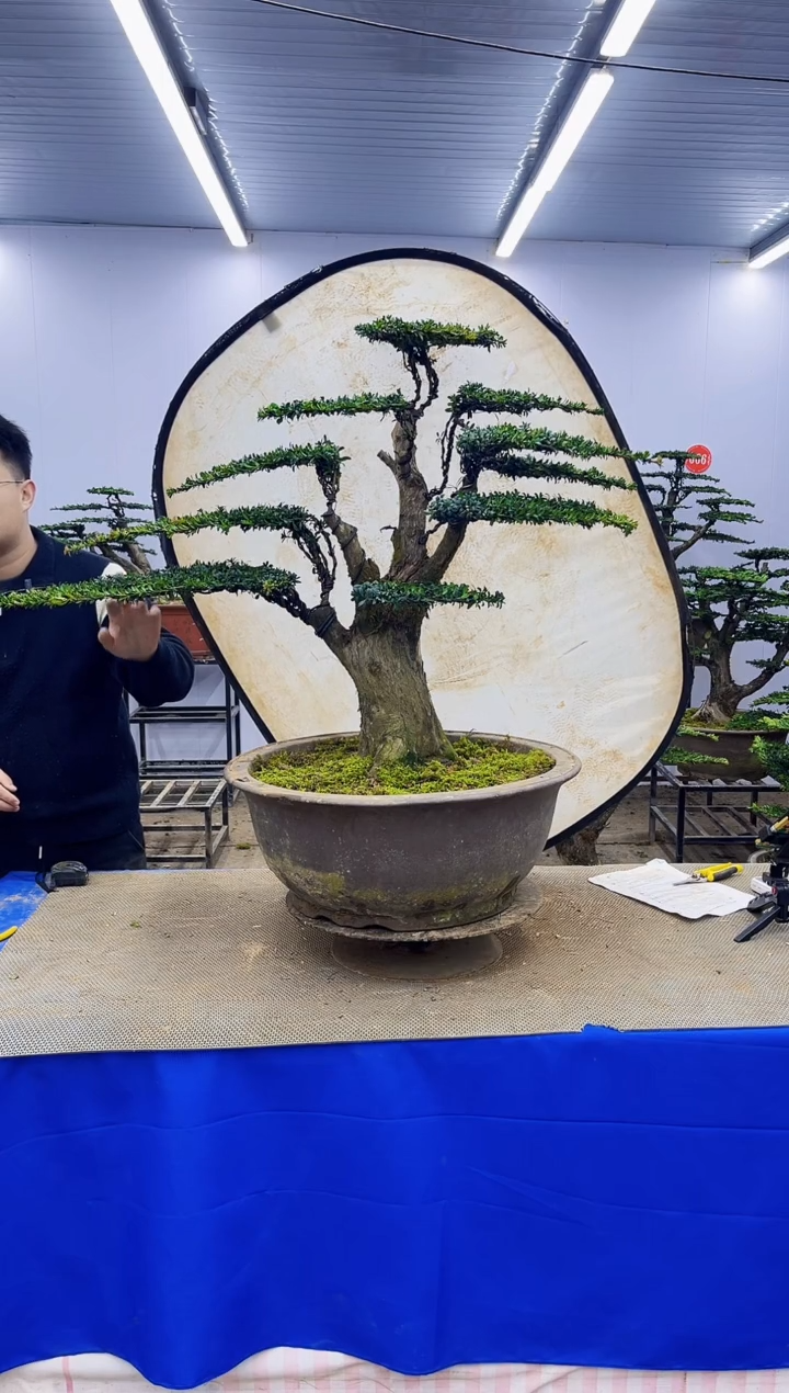 完全开放一物一拍，所见即所得