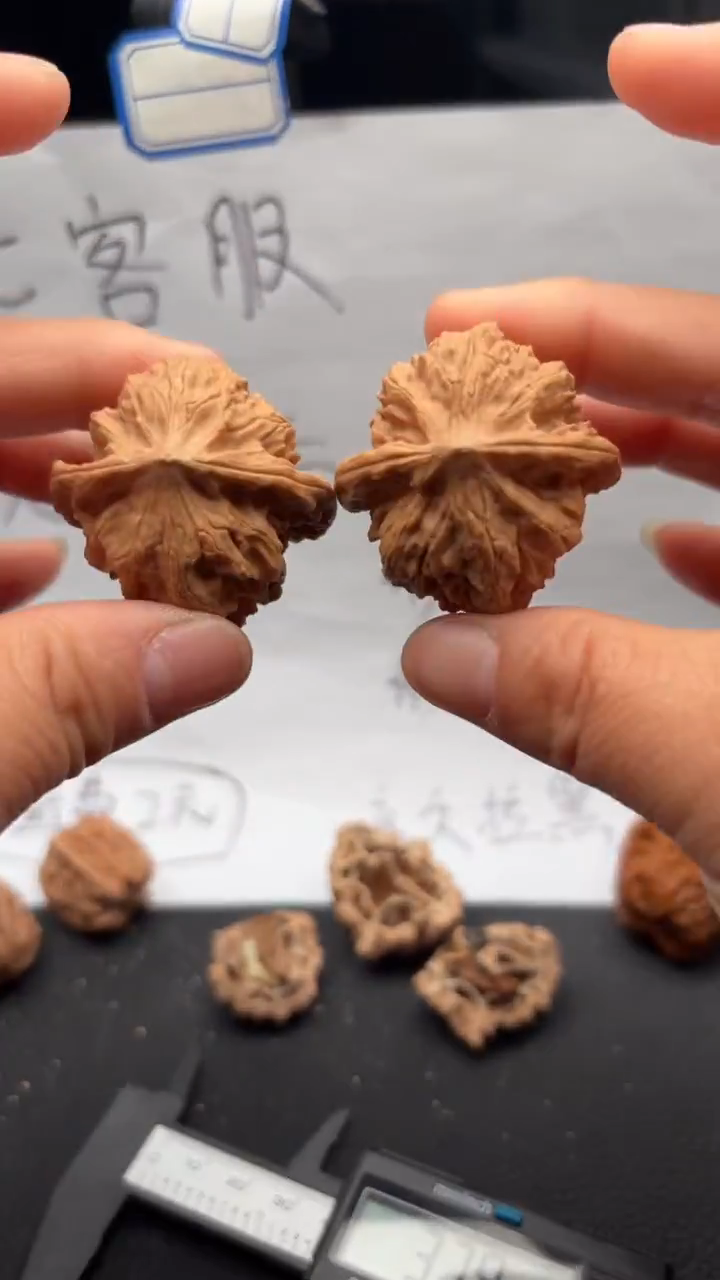 把件文玩核桃631野狼