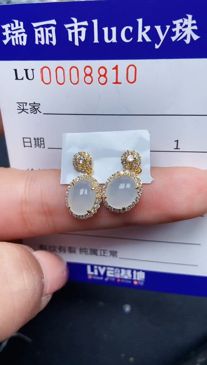 【闪购商品】翡翠颈饰银S925镶嵌8810