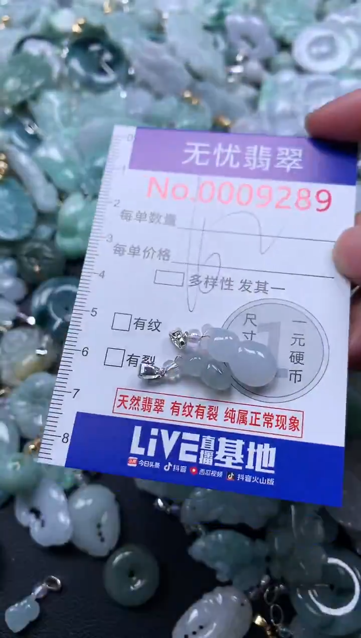 颈饰未镶嵌翡翠9289