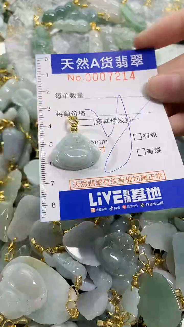 颈饰未镶嵌翡翠天然A货翡翠