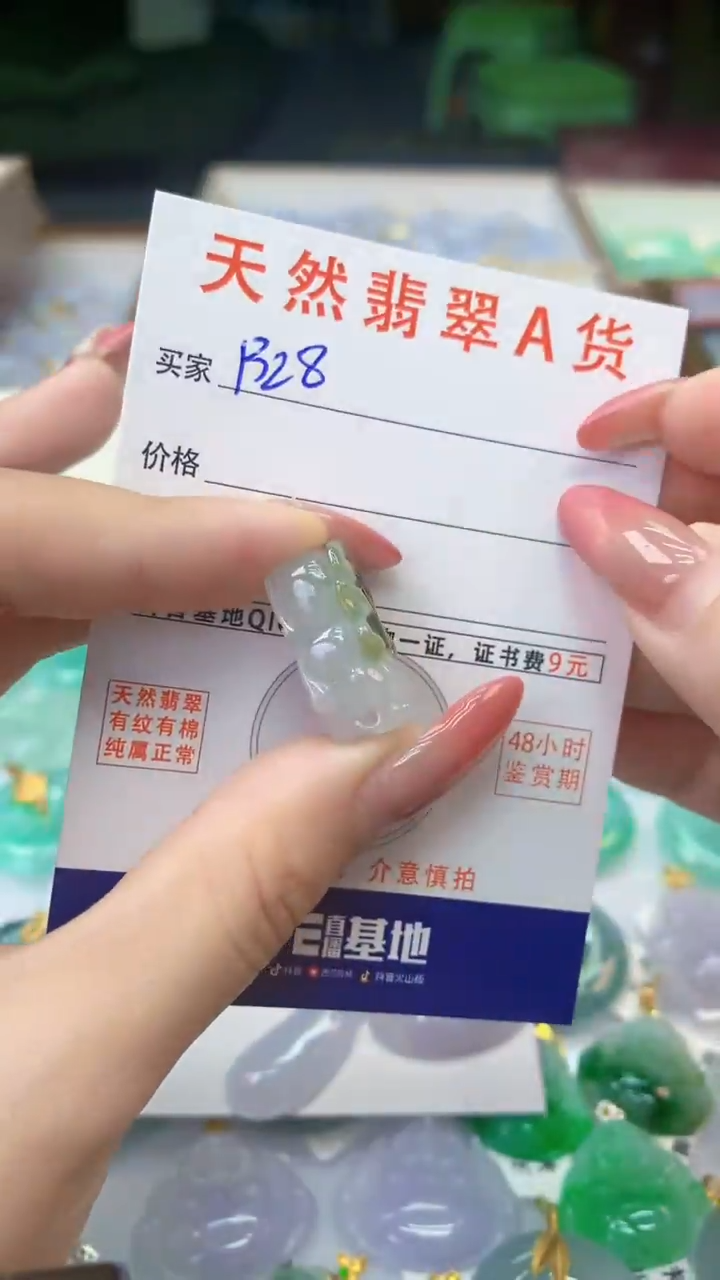 颈饰未镶嵌翡翠天然A货翡翠挂件