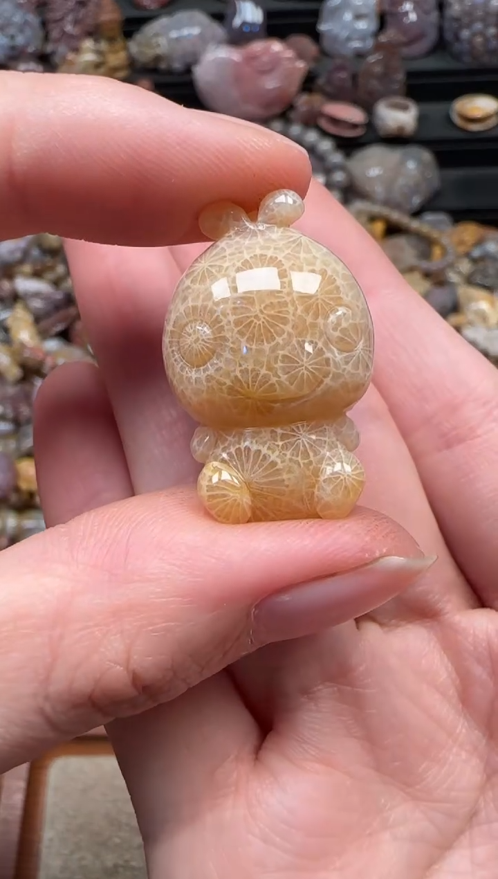 颈饰未镶嵌硅化珊瑚（珊瑚玉）155