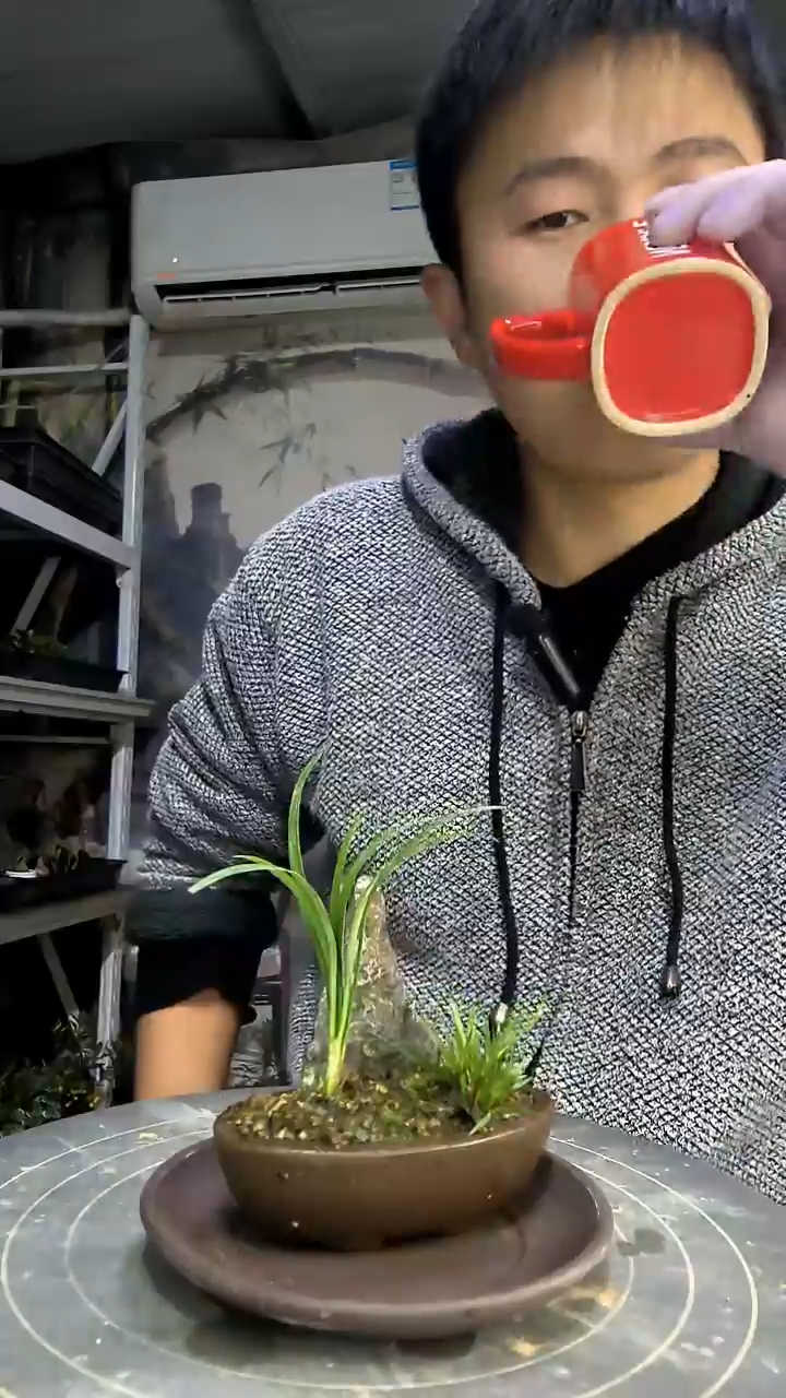 牧***士中青园艺一物一拍花99