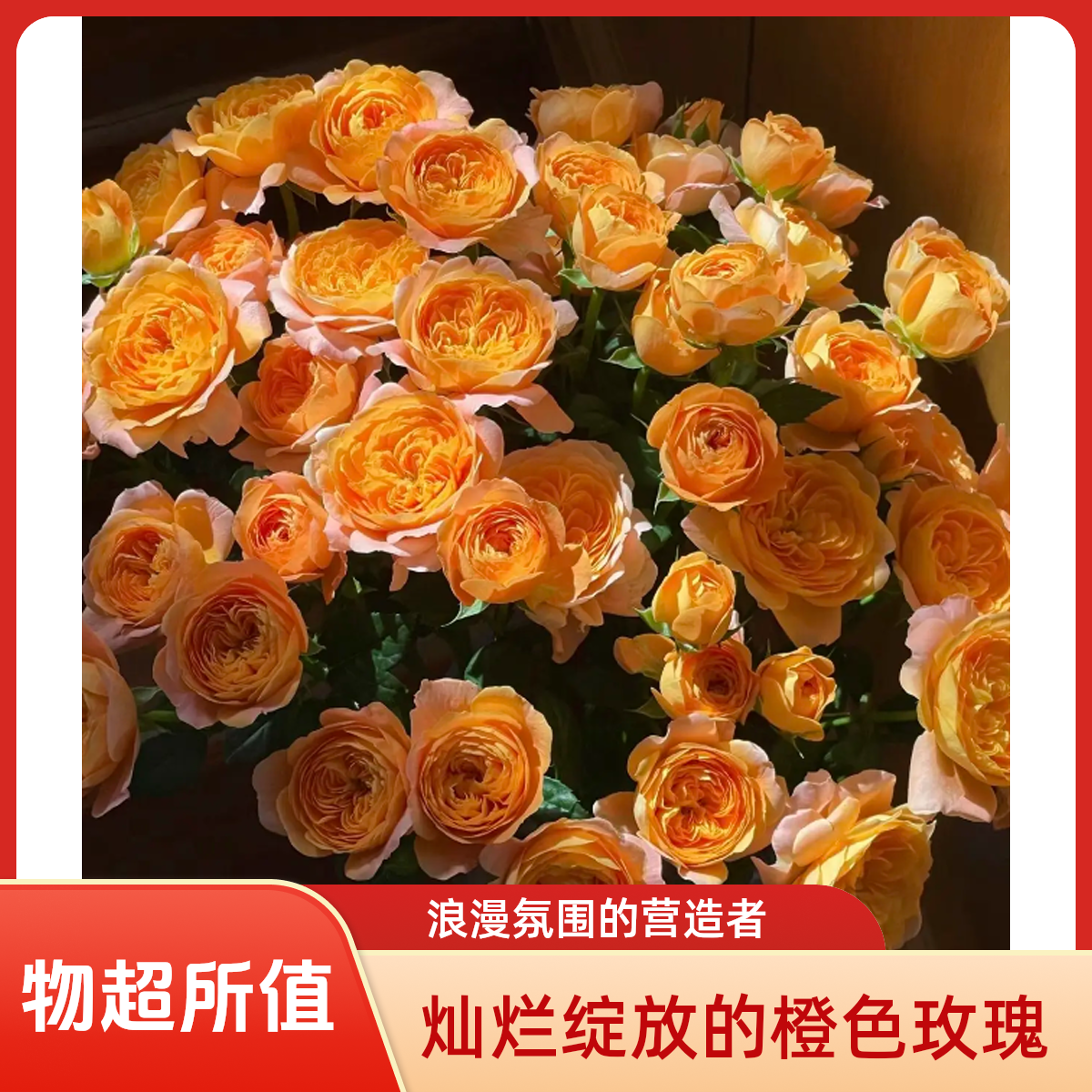 云南果汁阳台泡泡一单发中通冷链两单发顺丰冷链