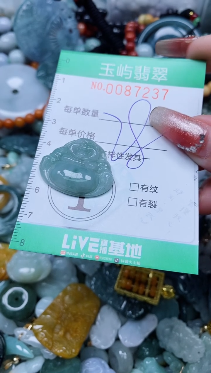 【闪购商品】翡翠颈饰未镶嵌闪购0087237