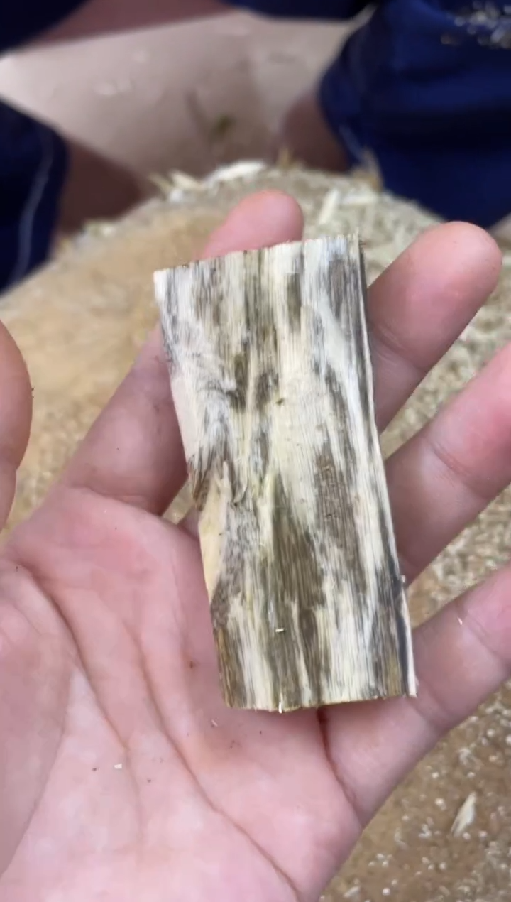 【闪购商品】沉香碎屑沉香木棋楠沉香 原料文创1