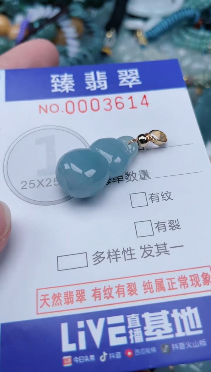 翡翠未镶嵌颈饰.0003614