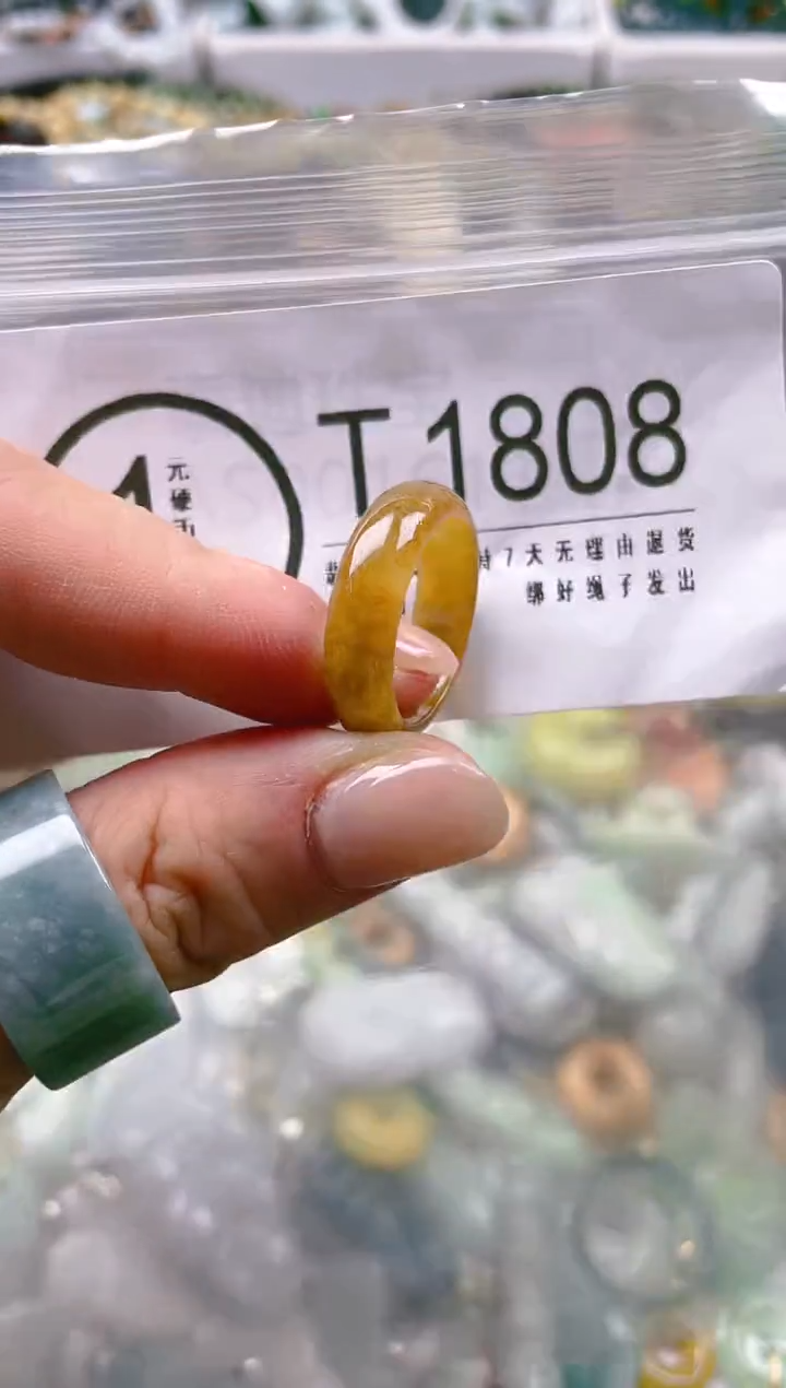 【闪购商品】翡翠颈饰未镶嵌18/T/翡翠A货一图一物