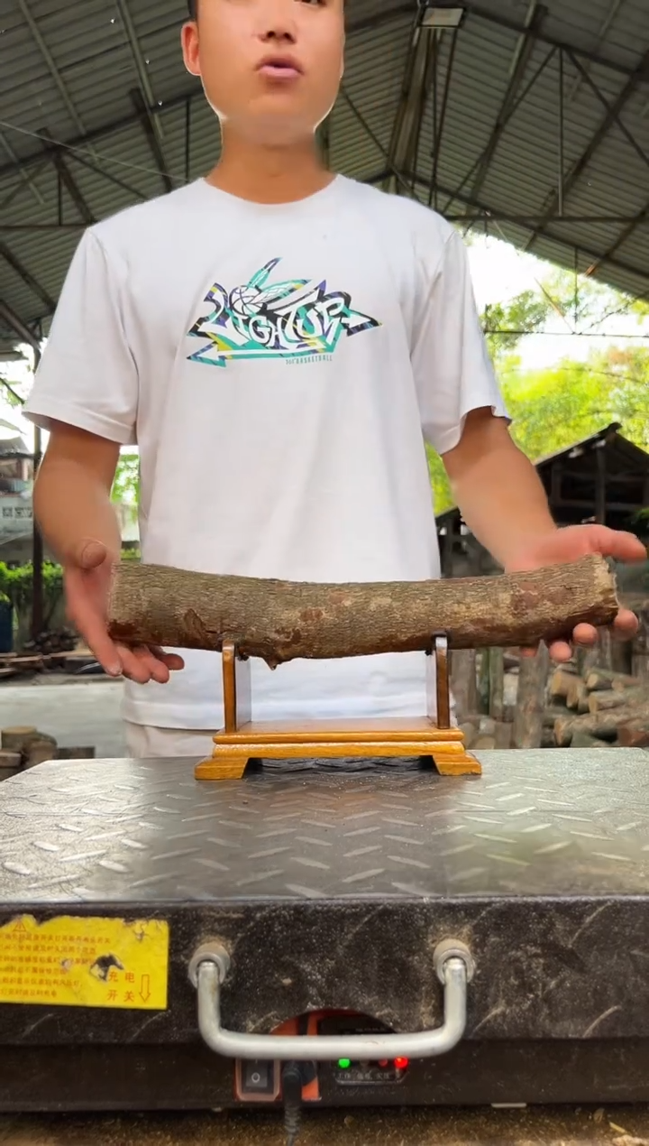 杰**相四川小叶桢楠金丝楠