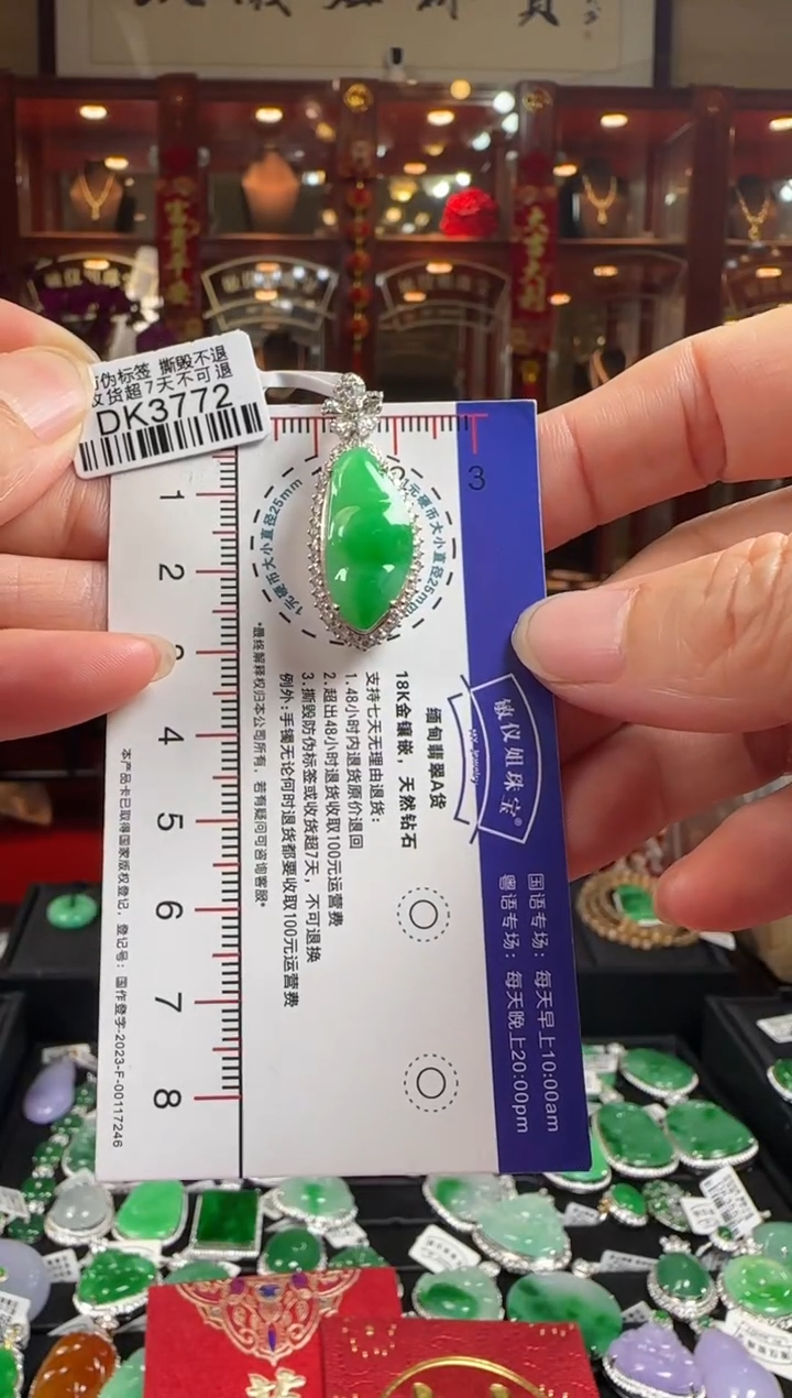 【闪购商品】翡翠颈饰18K金镶嵌DK3772冰绿豆豆