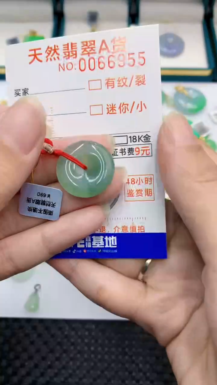 【闪购商品】翡翠颈饰未镶嵌            8