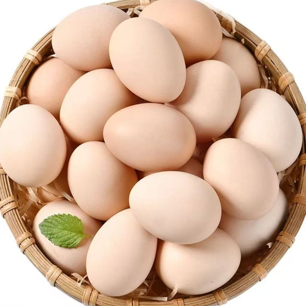 农家散养生态土鸡蛋50枚粉壳 包邮