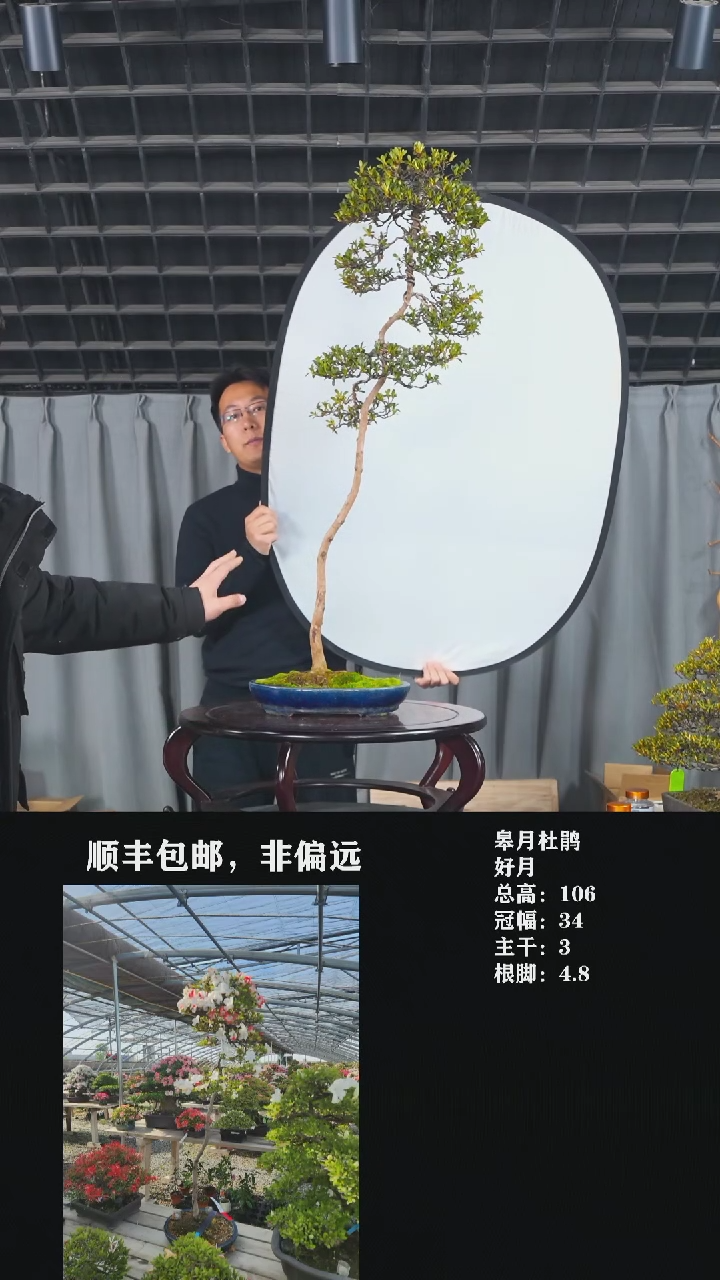 【闪购商品】-30*40转台*2尾款