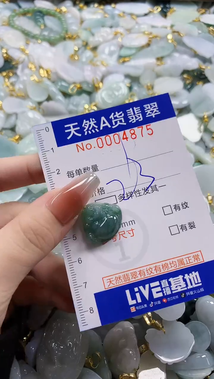 颈饰未镶嵌翡翠天然A货翡翠