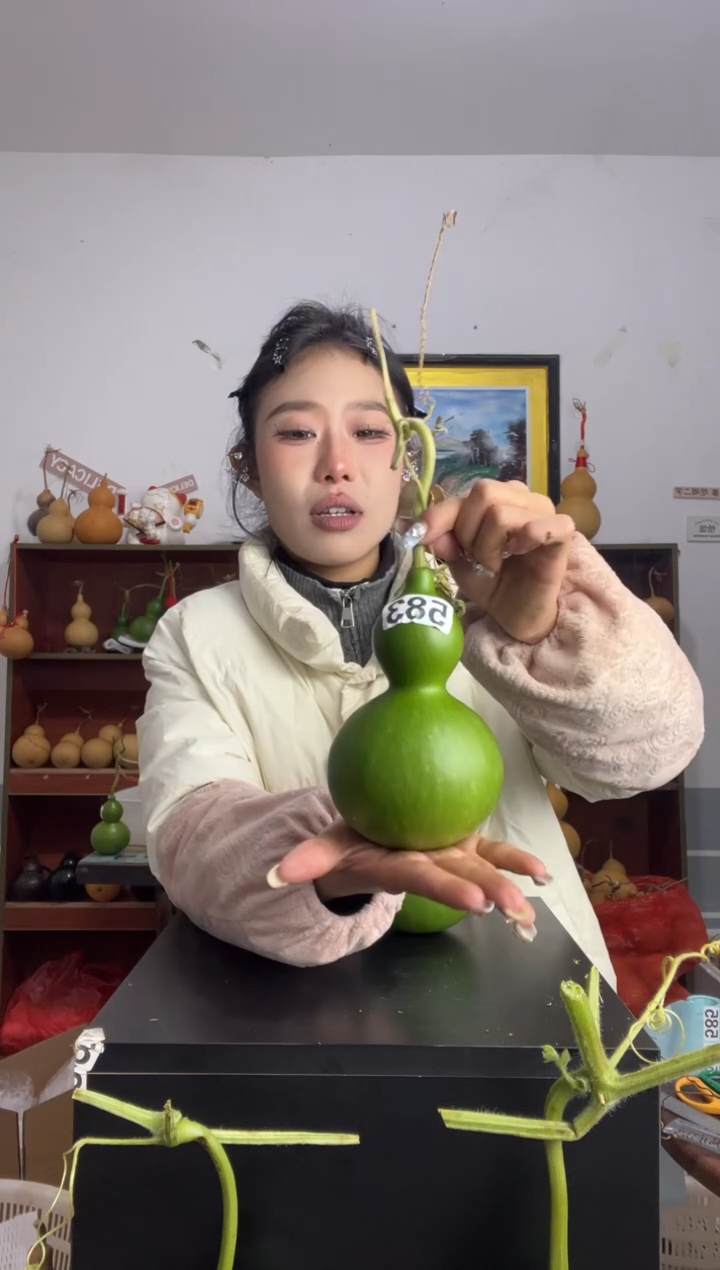 2****星583天然葫芦摆件 一物一拍龙头不保售后