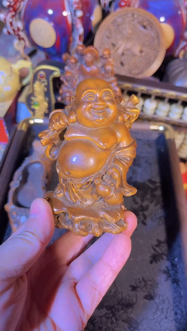 黄杨木1111111111111111111