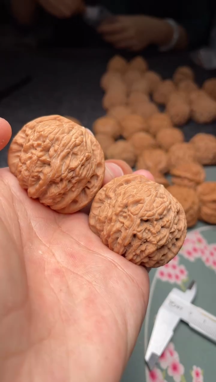 核桃a95  泥鳅背 40尺