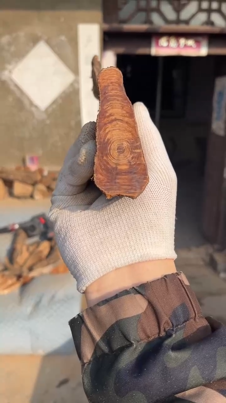 柏木（崖柏）太行崖柏板根