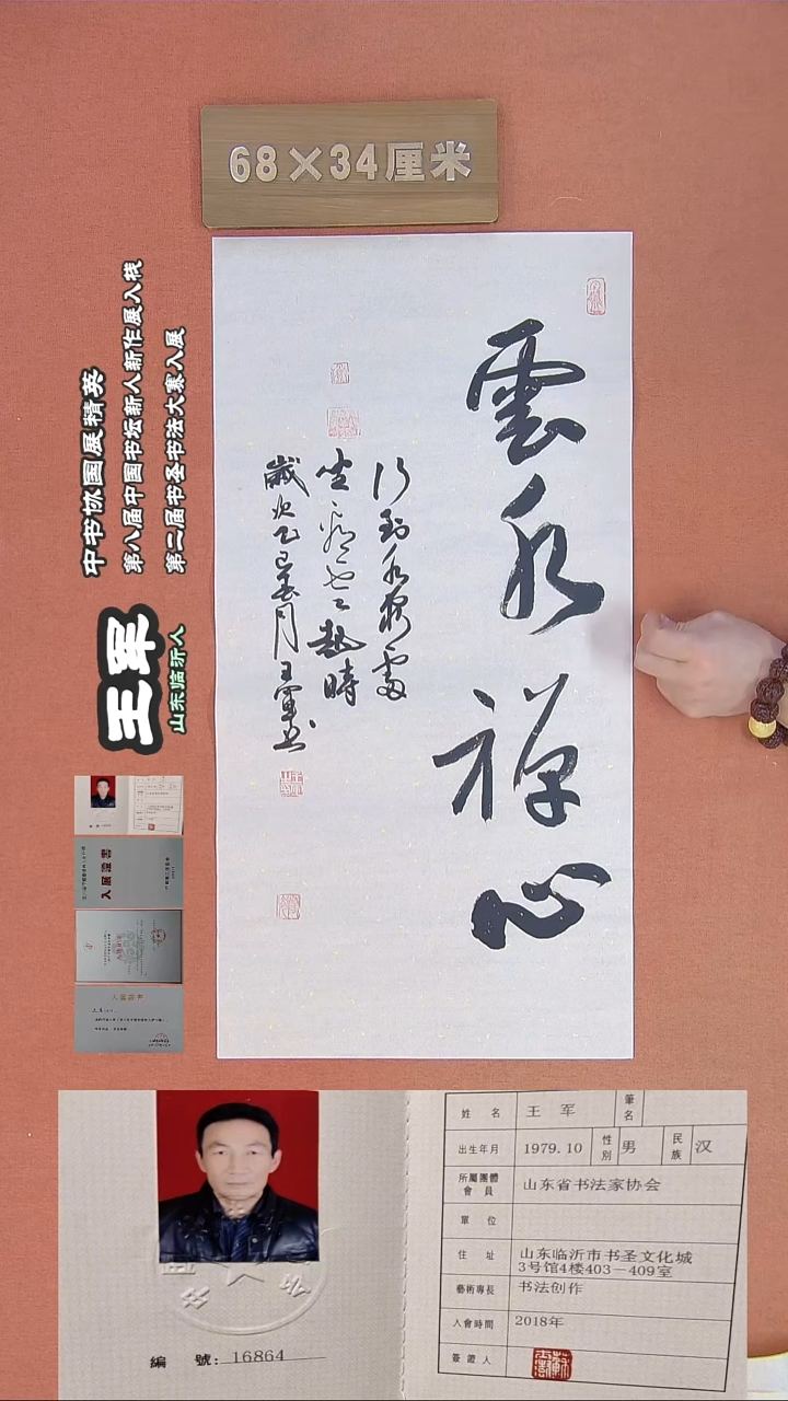 【闪购商品】书法12王军书法作品