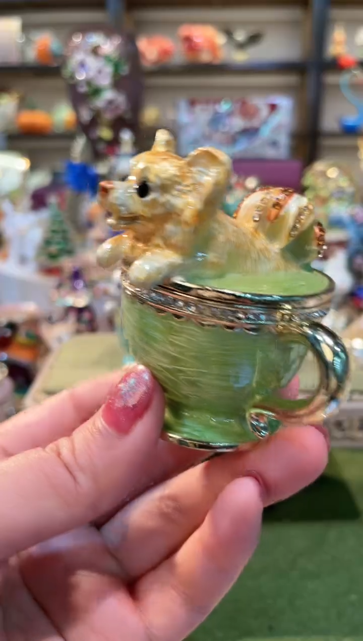 样品如图美美美美——