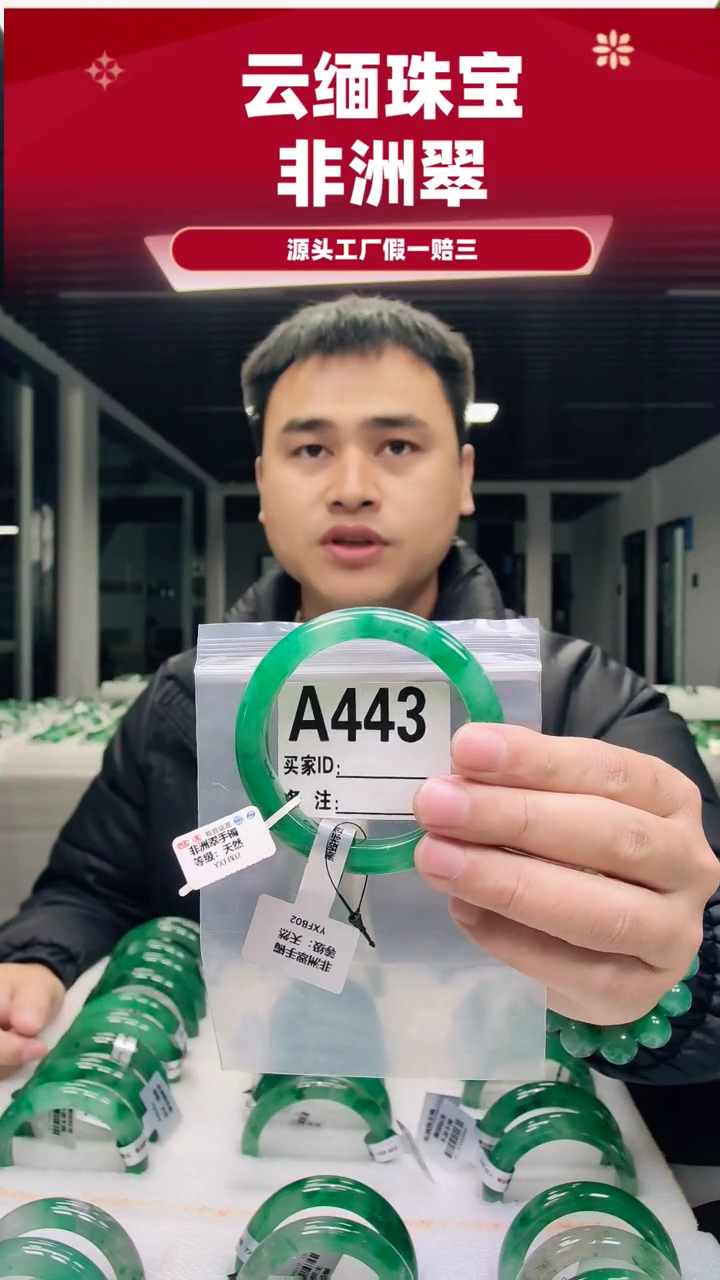 未镶嵌手镯石英质玉（非洲翠）58圈口A443