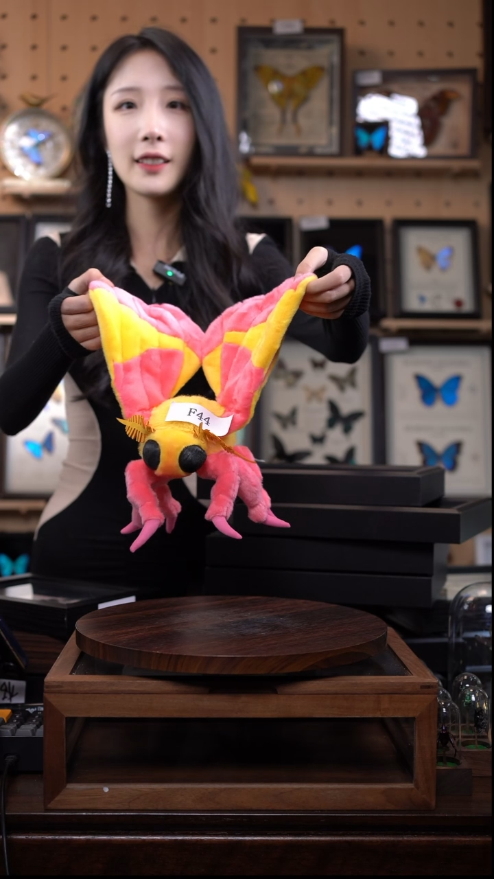 蛾子玩偶周边文创f44