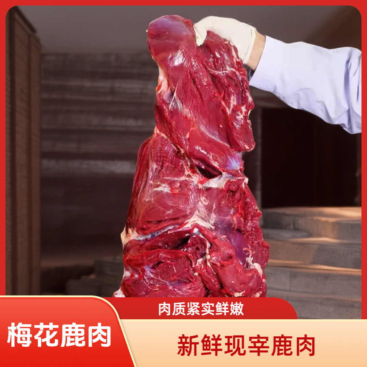 【现场称重】煲汤 炖煮 新鲜梅花鹿腿肉真空包装发货 空运包邮